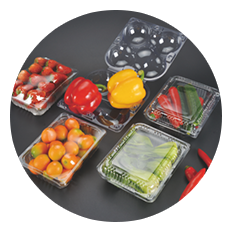 标准化服务体系